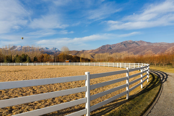 Horse Fencing -  Horse Management And Safety