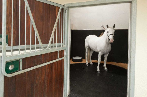 Key Features And Benefits Of Horse Matting