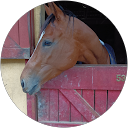 Peter Bracher profile picture