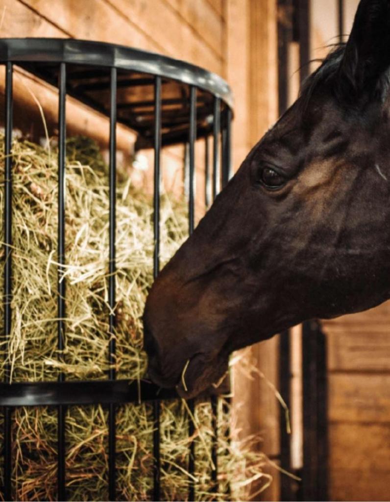 Elite Equine Horse Hay Rack