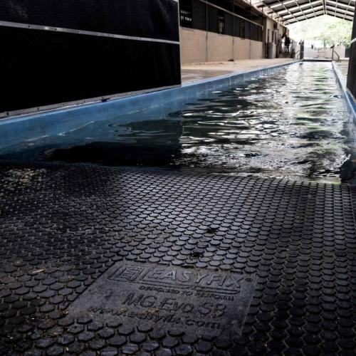Elite Equine Horse Pool Rubber Matting
