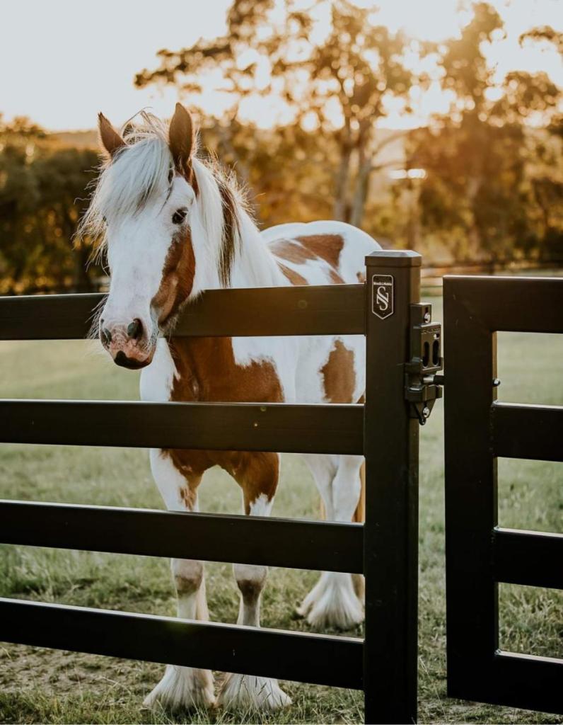 Elite Equine Stock & Noble Fencing