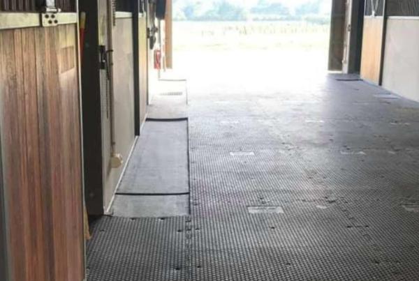 Aquis Farms Stables – MG EVO