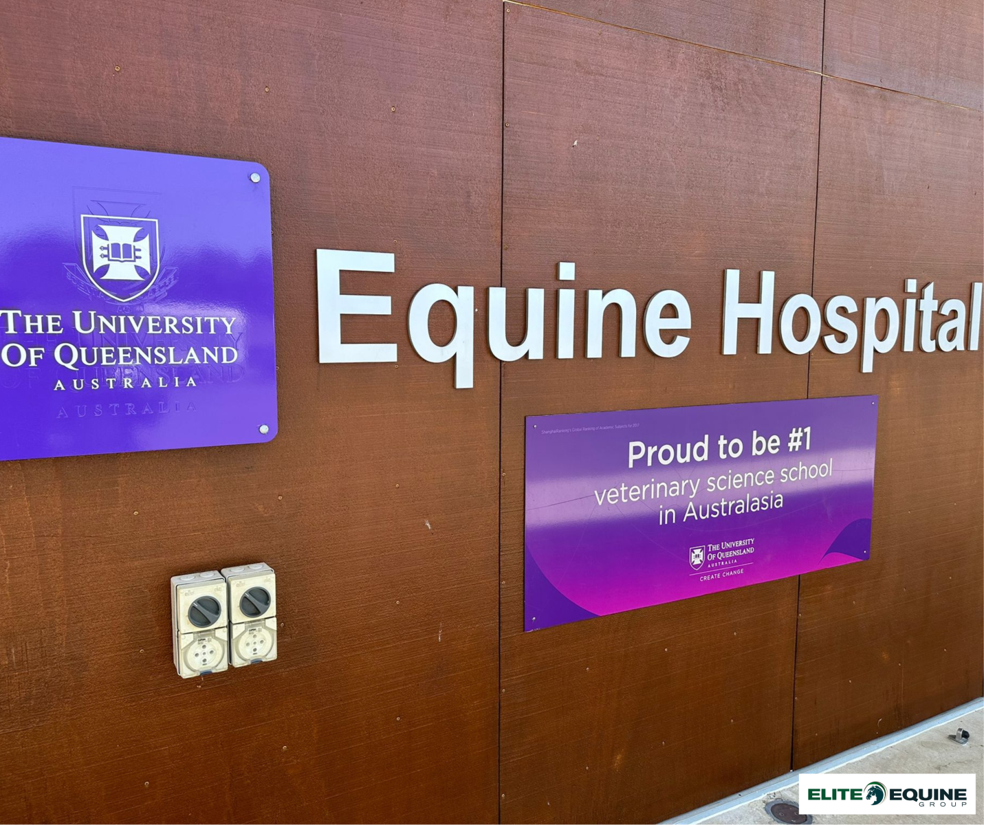 Gatton Equine Hospital Easyfix Deluxe Diamond Top Stable Matting Fitout