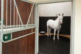 Key Features And Benefits Of Horse Matting