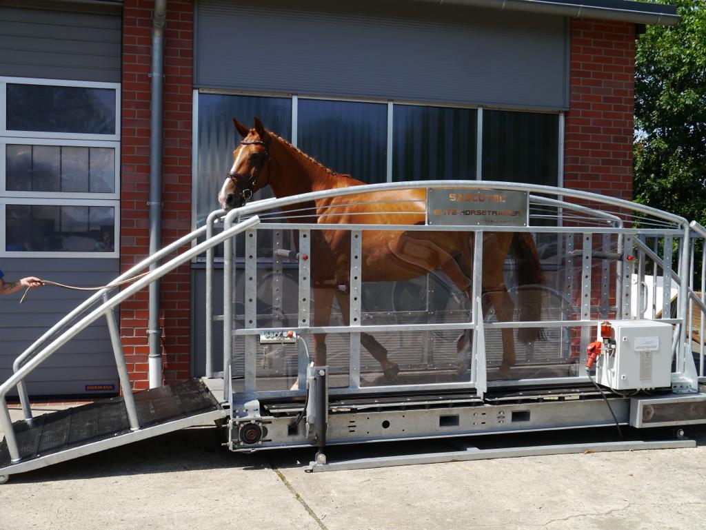 Horse treadmill sale